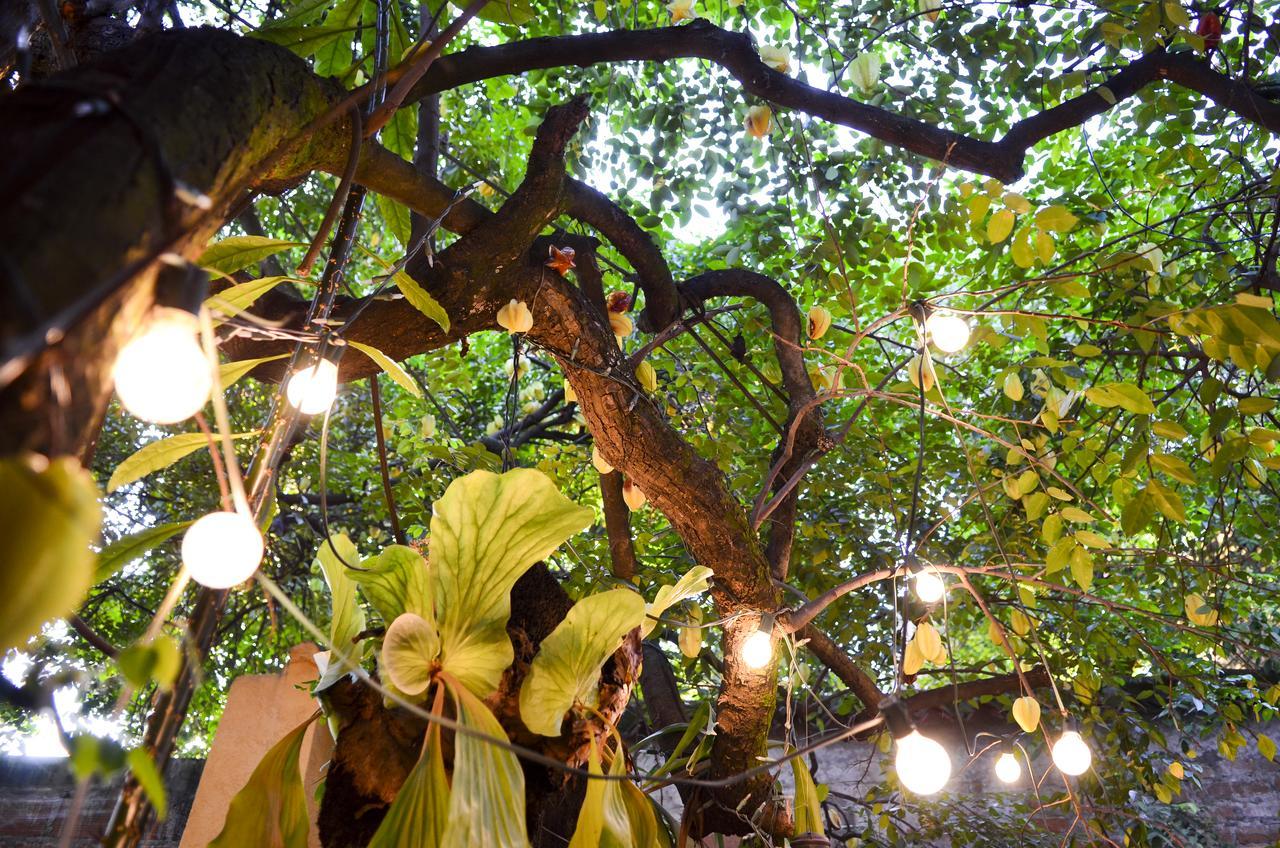 Magic Garden House Otel Cali Dış mekan fotoğraf